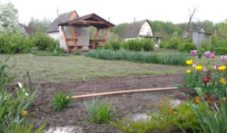 Продается дом Сумская, Сумы, Барановка фото 6 Продается дом Сумская, Сумы, Барановка фото 6