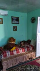 Продается дом Сумская, Сумский, Красное фото 2 Продается дом Сумская, Сумский, Красное фото 2