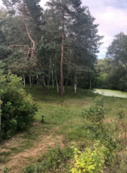 Продается дом Сумская, Сумы, Заречный, Барановка фото 17 Продается дом Сумская, Сумы, Заречный, Барановка фото 17