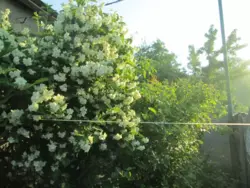 Продается дом Сумская, Сумы, Ковпаковский, Тополянська, 126/1 фото 2 Продается дом Сумская, Сумы, Ковпаковский, Тополянська, 126/1 фото 2