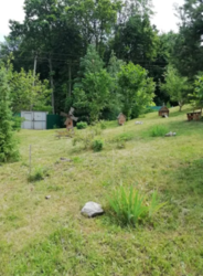 Продается дом Сумская, Сумы, Ковпаковский, Веретеновка фото 18 Продается дом Сумская, Сумы, Ковпаковский, Веретеновка фото 18