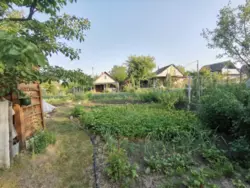 Продается дом Сумская, Сумы, Заречный, с/т Озерний НЕМ фото 18 Продается дом Сумская, Сумы, Заречный, с/т Озерний НЕМ фото 18