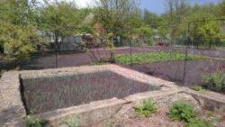 Дача Барановка фото 9 Дача Барановка фото 9