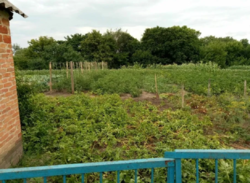 Продается дом Сумская, Сумский, Николаевка фото 4 Продается дом Сумская, Сумский, Николаевка фото 4