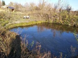 Продается дом Сумская, Сумский, Кровное фото 3 Продается дом Сумская, Сумский, Кровное фото 3