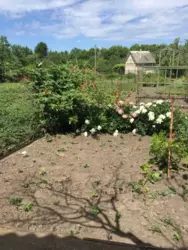 ��������� ��� ����, ������� ���� 3