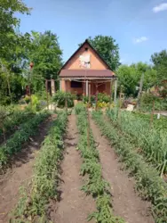 Продается дом Білопільський Шлях вул., Сумы, Сумская, Ковпаковский фото 2 Продается дом Білопільський Шлях вул., Сумы, Сумская, Ковпаковский фото 2