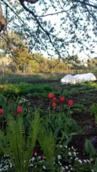 Продается дом Сумская, Сумы, Заречный, Хіммістечко фото 1 Продается дом Сумская, Сумы, Заречный, Хіммістечко фото 1