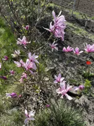 Продается дом Сумская, Сумы, Ковпаковский, Білопільський шлях с/т Фрунзенець фото 12 Продается дом Сумская, Сумы, Ковпаковский, Білопільський шлях с/т Фрунзенець фото 12