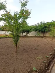 Продается дом Сумская, Сумы, Заречный, Баси фото 13 Продается дом Сумская, Сумы, Заречный, Баси фото 13