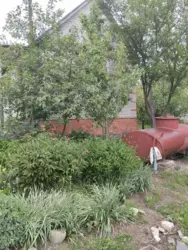 Продается дом за старим аеропортом(с/т Будівельник), Сумы, Сумская, Заречный фото 1 Продается дом за старим аеропортом(с/т Будівельник), Сумы, Сумская, Заречный фото 1