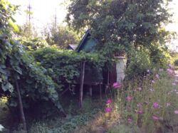 Дача Химгородок фото 3 Дача Химгородок фото 3