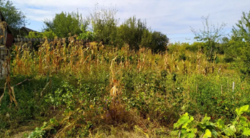 Продается дом Сумская, Сумский, Пушкаревка фото 4 Продается дом Сумская, Сумский, Пушкаревка фото 4