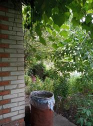 Продается дом Сумская, Сумский фото 3 Продается дом Сумская, Сумский фото 3