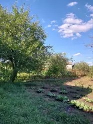 Продается дом Сумская, Сумы, Заречный, Олдиш фото 2 Продается дом Сумская, Сумы, Заречный, Олдиш фото 2