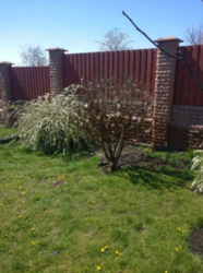 Продается дом Сумская, Сумы, Заречный, ул. Депутатская фото 16 Продается дом Сумская, Сумы, Заречный, ул. Депутатская фото 16