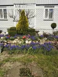 ��������� ��� �����������, �������, ������� ���� 8