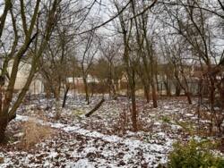 ������ ������� �� ������ 5 ����� � ��� ������, ���������� �����, 20 �� �� �� ����� ����������� ���� 13