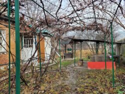 ������ ������� �� ������ 12 ����� ����. ���������, ��� �� ������, ������� ������� �������. ���� 8