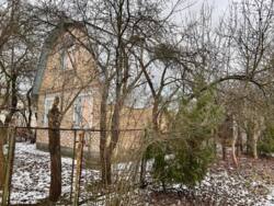 ������ ������� �� ������ 5 ����� � ��� ������, ���������� �����, 20 �� �� �� ����� ����������� ���� 19