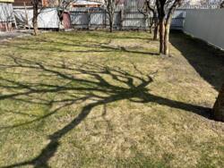 ������� �� ��������� ������� 184 �����, ��� ������� ������, � ���������� ������ �����, ���������, ���� �� ���� �����. ���� 31