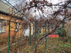 ������ ������� �� ������ 12 ����� ����. ���������, ��� �� ������, ������� ������� �������. ���� 7