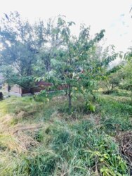 🏡 ������� ��� ��������� ��� �� ����� | �� ���������� ���� 5