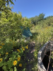���� � ����� ������� ���� 14