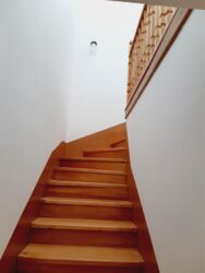 ������� ���� 8