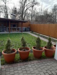 ������� ���� 7