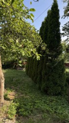 Будинок у с. Саджавка фото 4 Будинок у с. Саджавка фото 4