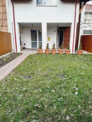 ������� ���� 6