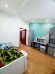 ������� ���� 15