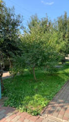 Будинок фото 4 Будинок фото 4