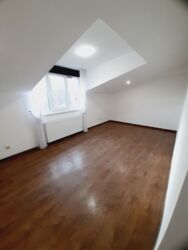 ������� ���� 17