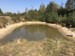 Продається будинок Житомирська, Житомирський, Ул'янівка фото 23 Продається будинок Житомирська, Житомирський, Ул'янівка фото 23