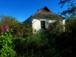 Будинок в с.Івниця з газом (22396513) фото 3 Будинок в с.Івниця з газом (22396513) фото 3