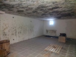 Продаж будинку в с.Залізня, Житомирський район. фото 48 Продаж будинку в с.Залізня, Житомирський район. фото 48