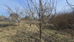 ���� �� �������������+ 2 ������, ������������ ����� (22447202) ���� 11