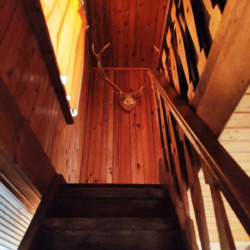 ��������� ������� ��������, ������������, ����������� ���� 14