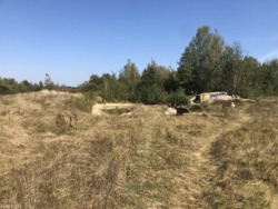 Продається будинок Житомирська, Житомирський, Ул'янівка фото 11 Продається будинок Житомирська, Житомирський, Ул'янівка фото 11