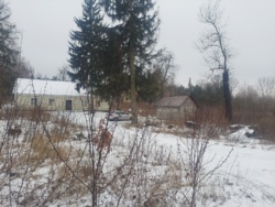 Продаж будинку в с.Залізня, Житомирський район. фото 9 Продаж будинку в с.Залізня, Житомирський район. фото 9