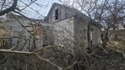 ���� �� �������������+ 2 ������, ������������ ����� (22447202) ���� 14