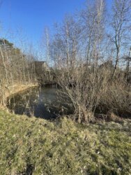 Гарний дачний будинок у Вільску фото 11 Гарний дачний будинок у Вільску фото 11