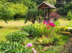 Продається будинок + бізнес в с. Старий Солотвин фото 11 Продається будинок + бізнес в с. Старий Солотвин фото 11