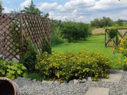 Продається будинок + бізнес в с. Старий Солотвин фото 8 Продається будинок + бізнес в с. Старий Солотвин фото 8