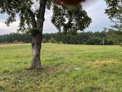 Продаж ділянки з будинком фото 4 Продаж ділянки з будинком фото 4