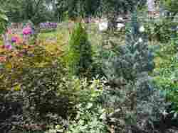 Продається добротний будинок в Черняхові. фото 5 Продається добротний будинок в Черняхові. фото 5