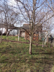 Продаж частини будинку фото 3 Продаж частини будинку фото 3