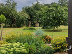 Продається будинок + бізнес в с. Старий Солотвин фото 7 Продається будинок + бізнес в с. Старий Солотвин фото 7